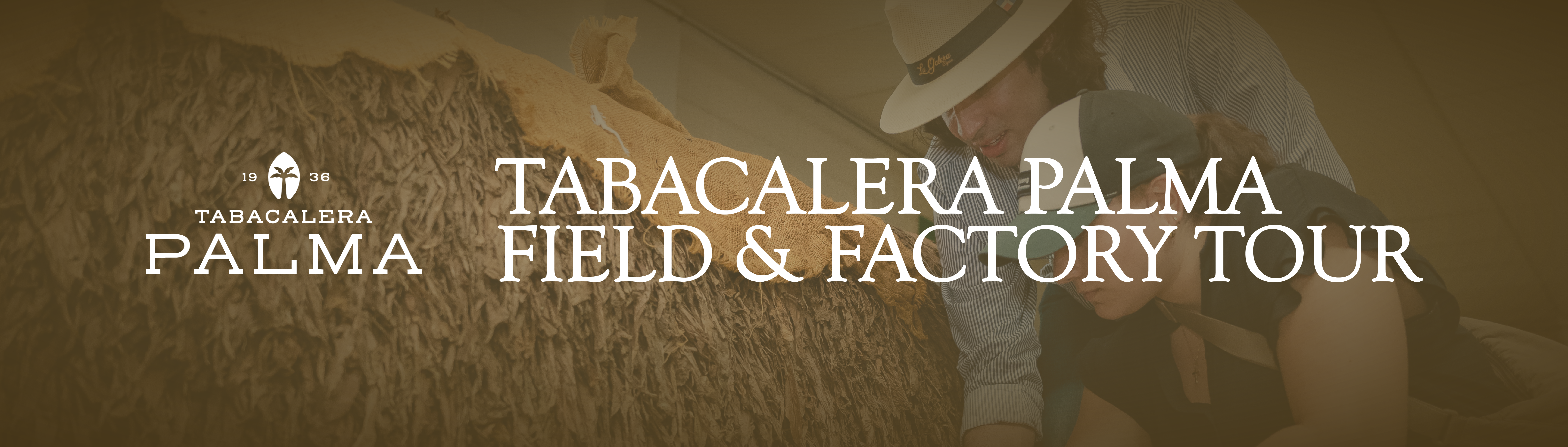 Tabacalera Palma Field & Factory
